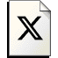 x icon